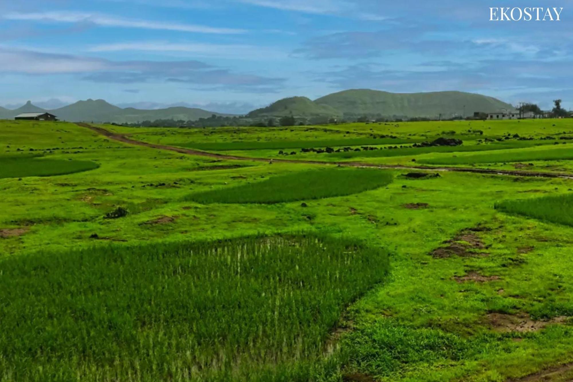 Ekostay - Neptune Villa Igatpuri Bagian luar foto