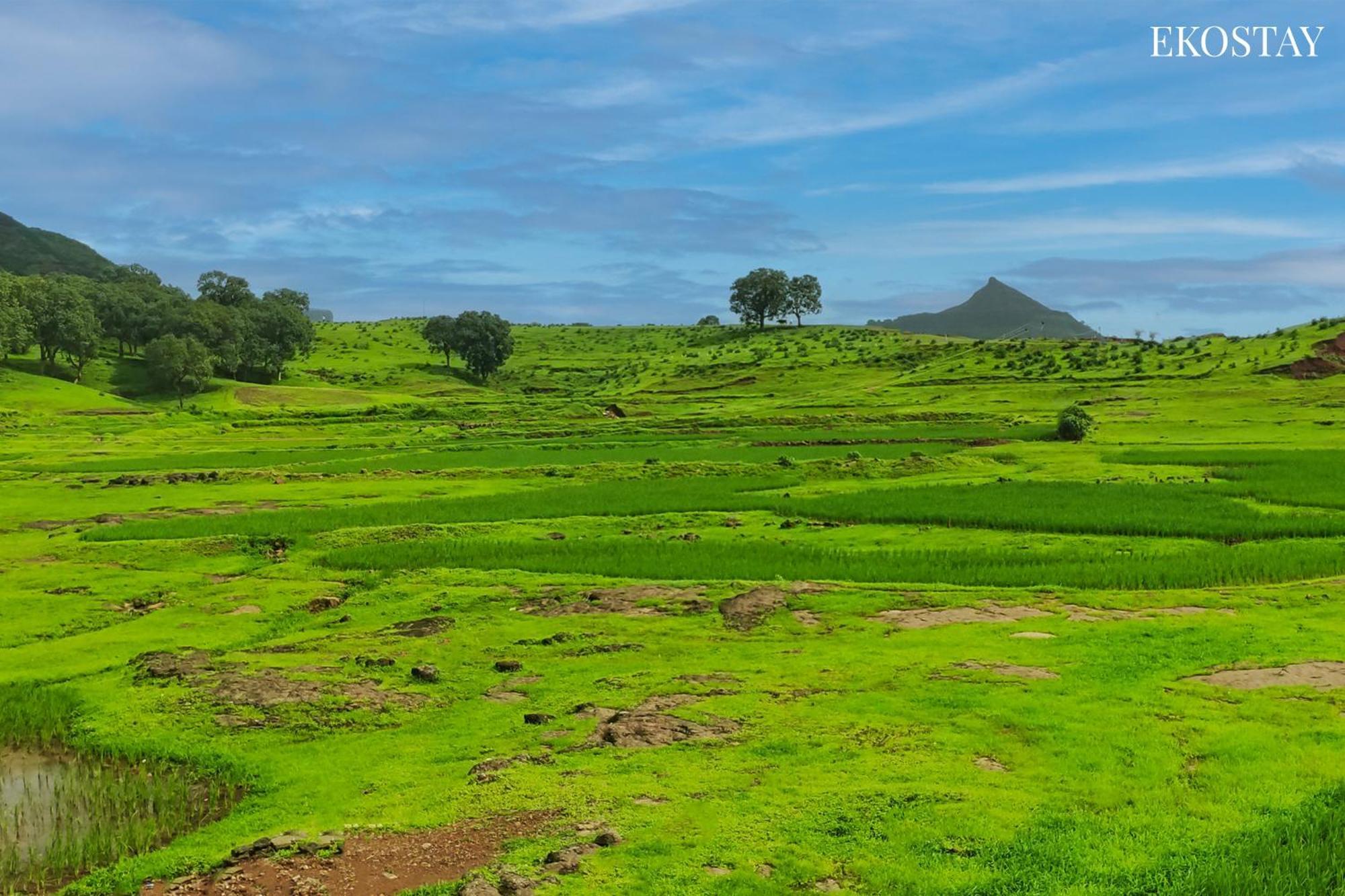 Ekostay - Neptune Villa Igatpuri Bagian luar foto